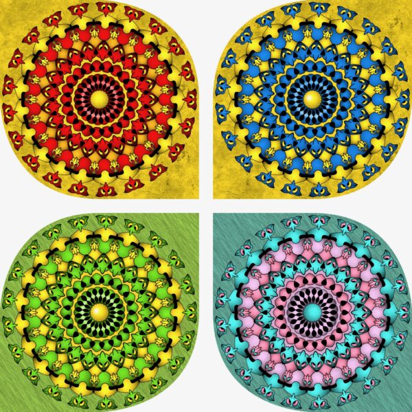 created by InCollage