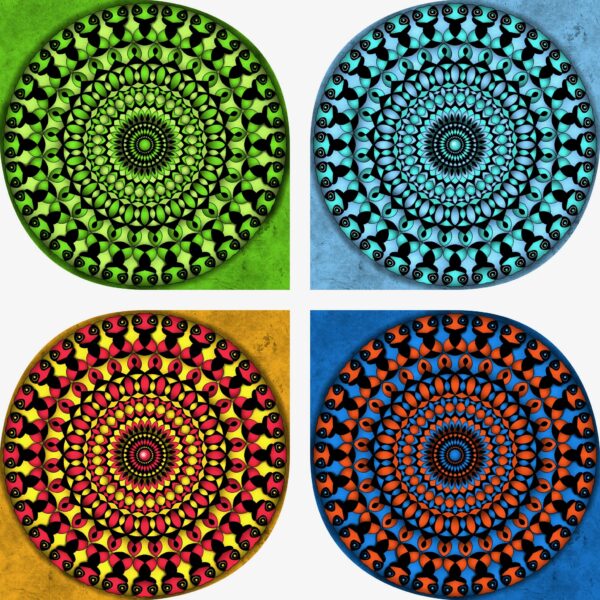 created by InCollage