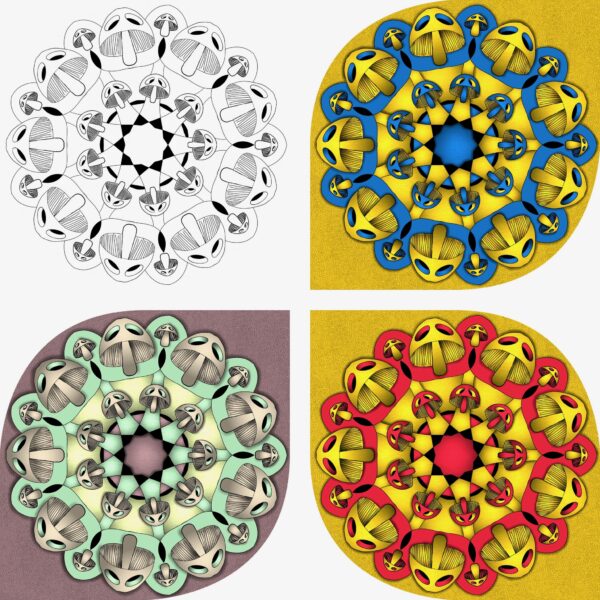 created by InCollage