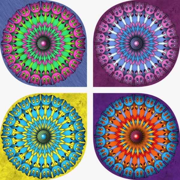 created by InCollage
