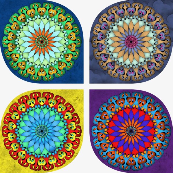 created by InCollage