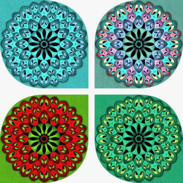 created by InCollage