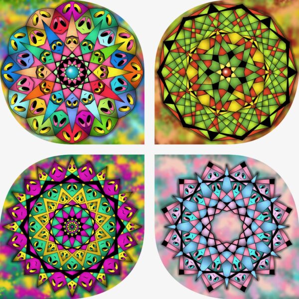 created by InCollage