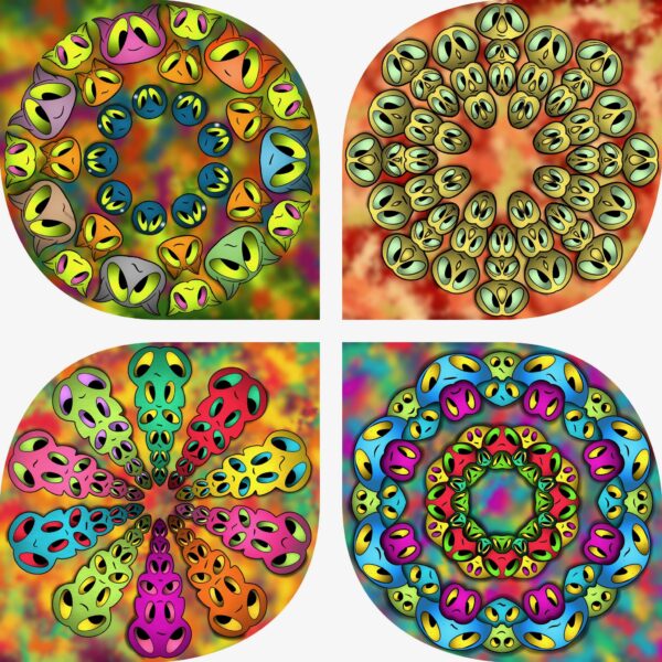 created by InCollage