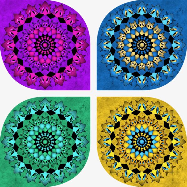 created by InCollage