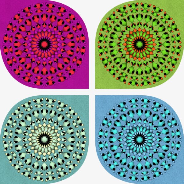 created by InCollage