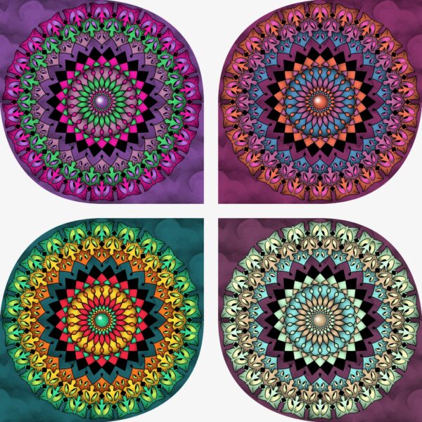 created by InCollage