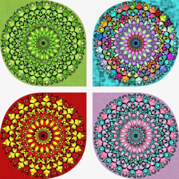created by InCollage