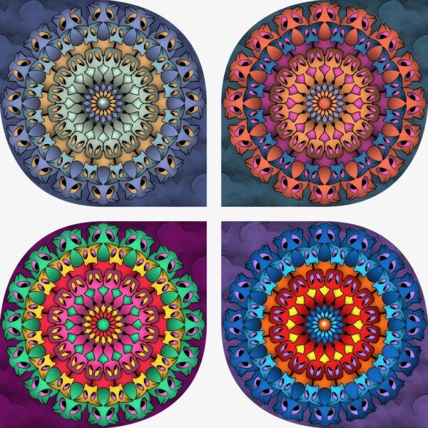 created by InCollage