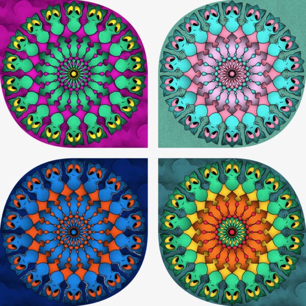 created by InCollage