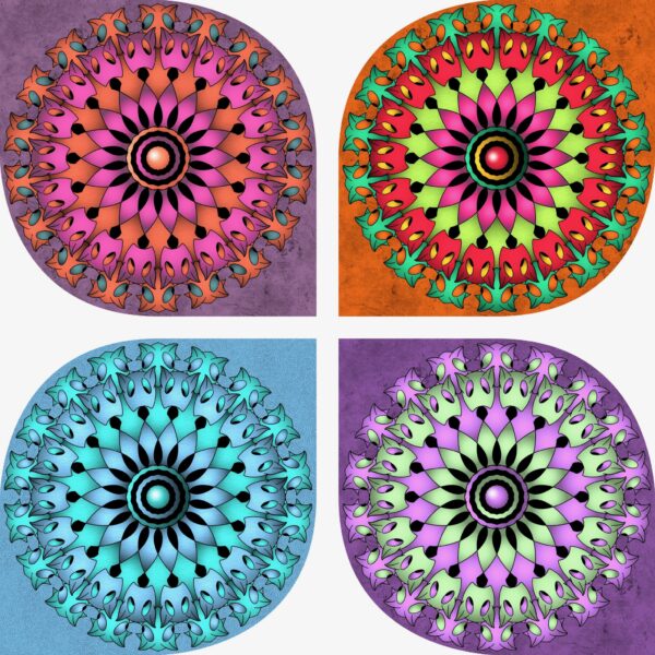 created by InCollage