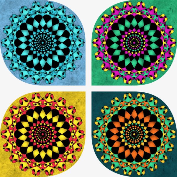 created by InCollage