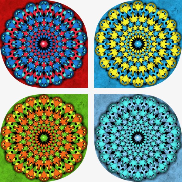 created by InCollage