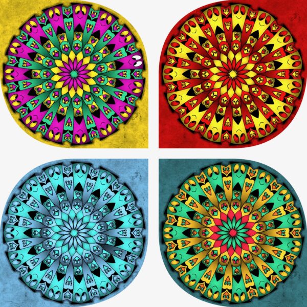 created by InCollage