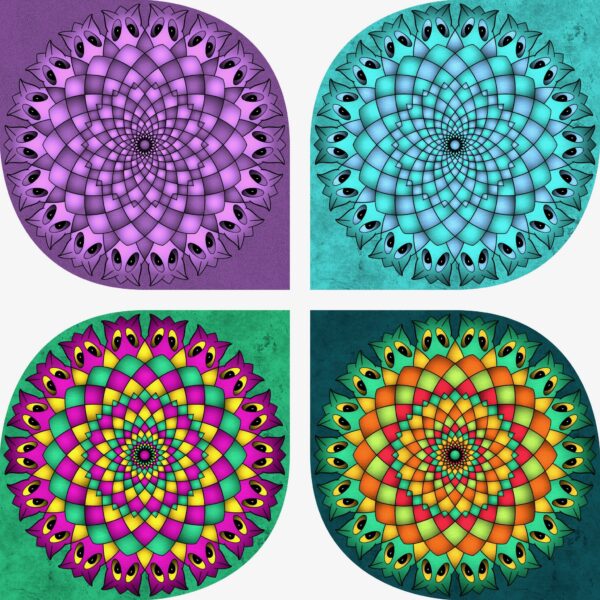 created by InCollage