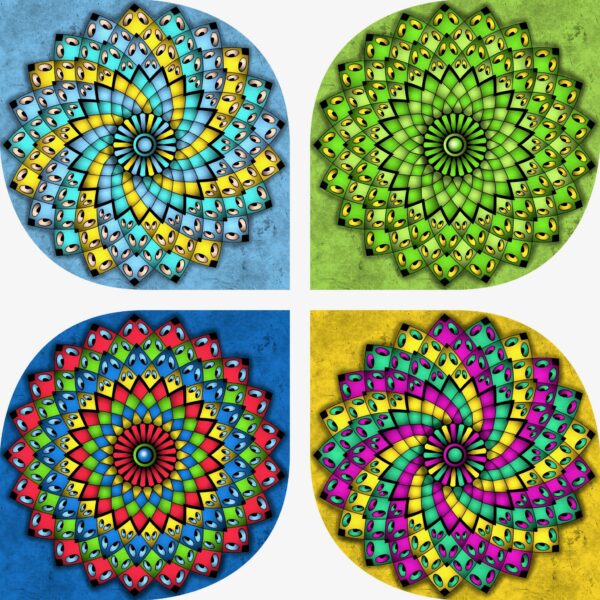 created by InCollage