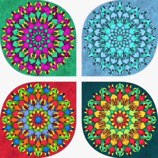 created by InCollage