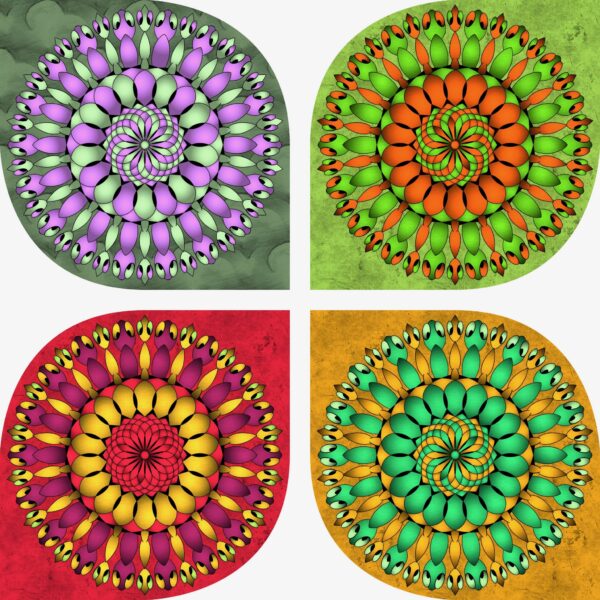 created by InCollage