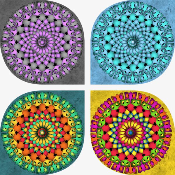 created by InCollage
