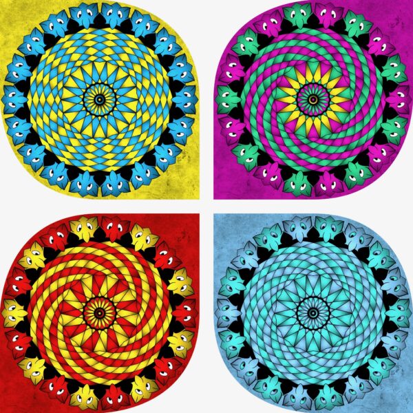 created by InCollage