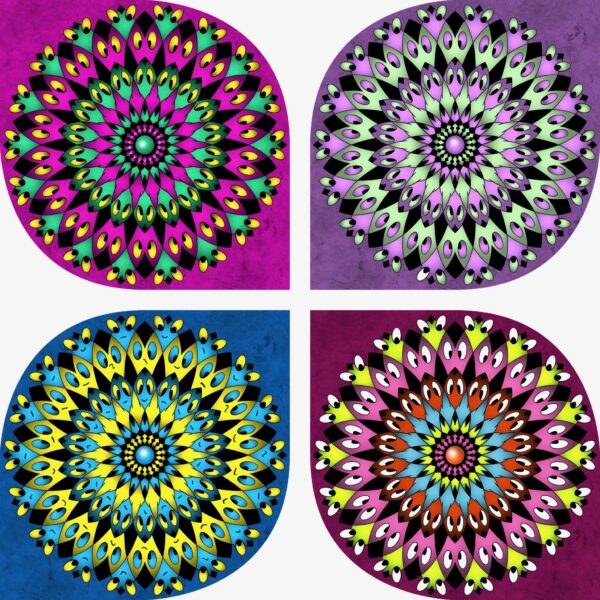 created by InCollage