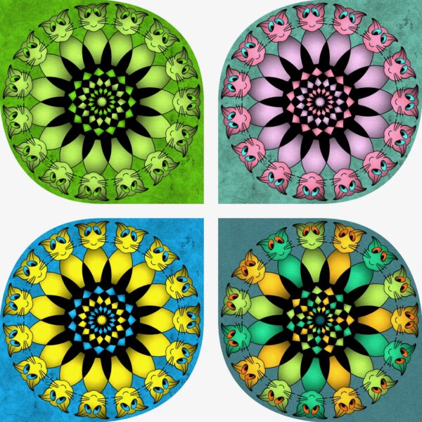 created by InCollage