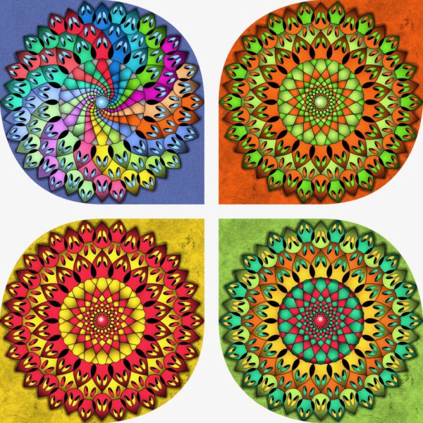 created by InCollage