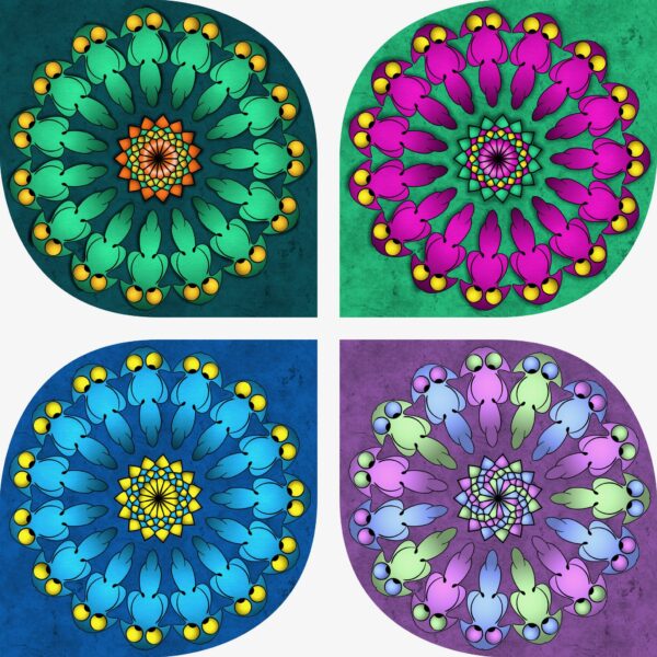 created by InCollage