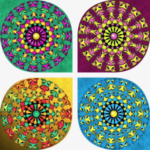 created by InCollage