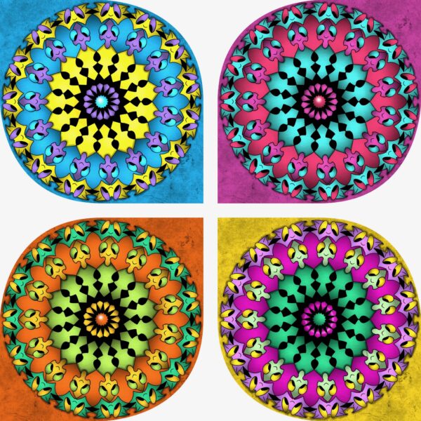 created by InCollage