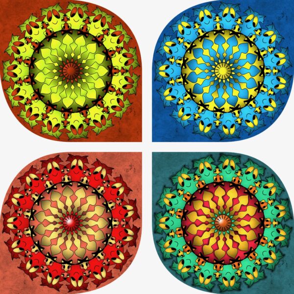 created by InCollage