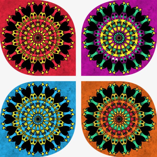 created by InCollage