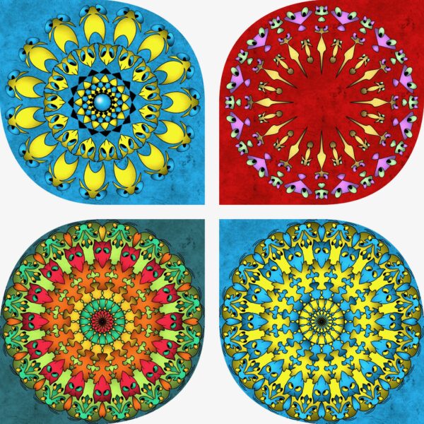 created by InCollage