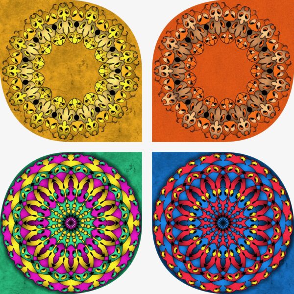 created by InCollage