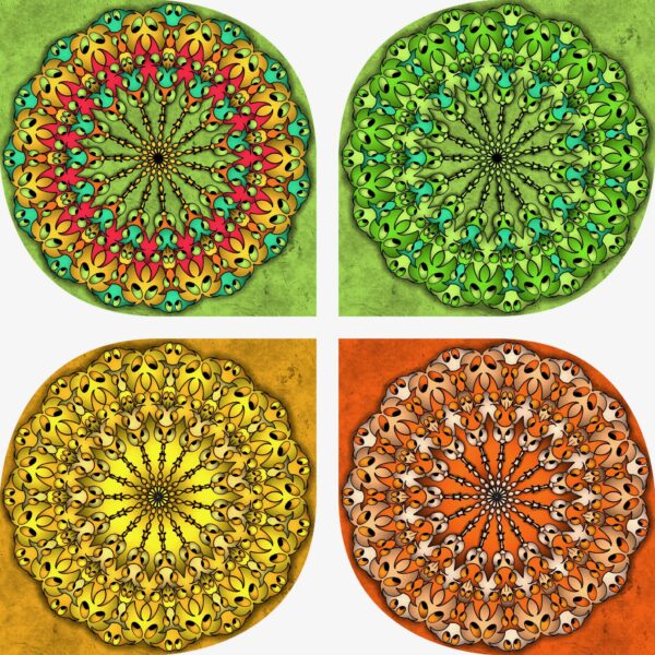 created by InCollage