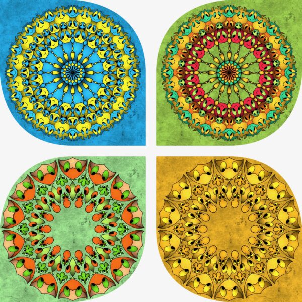 created by InCollage