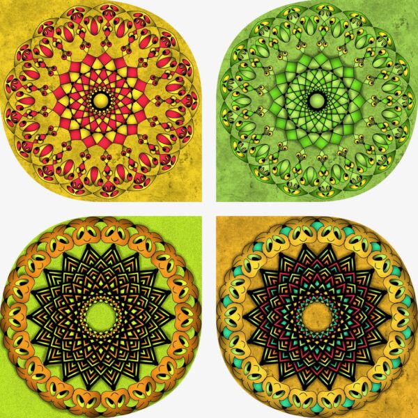 created by InCollage