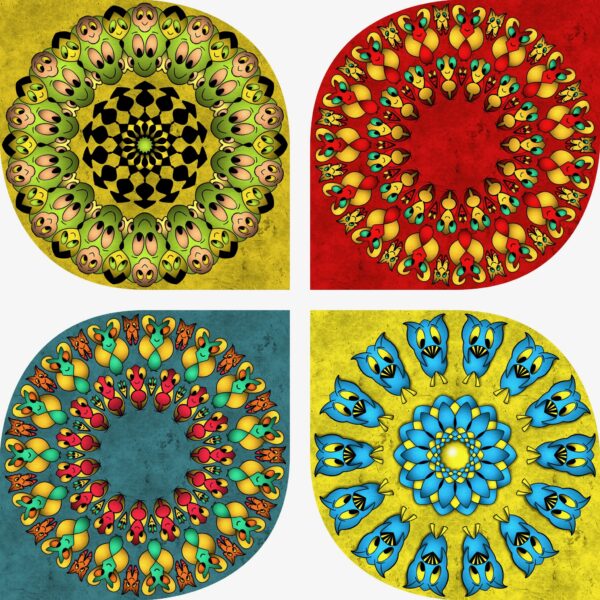 created by InCollage