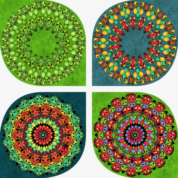 created by InCollage