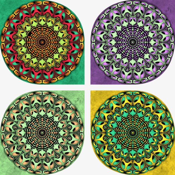 created by InCollage