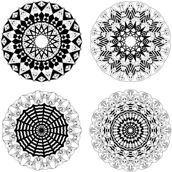 created by InCollage