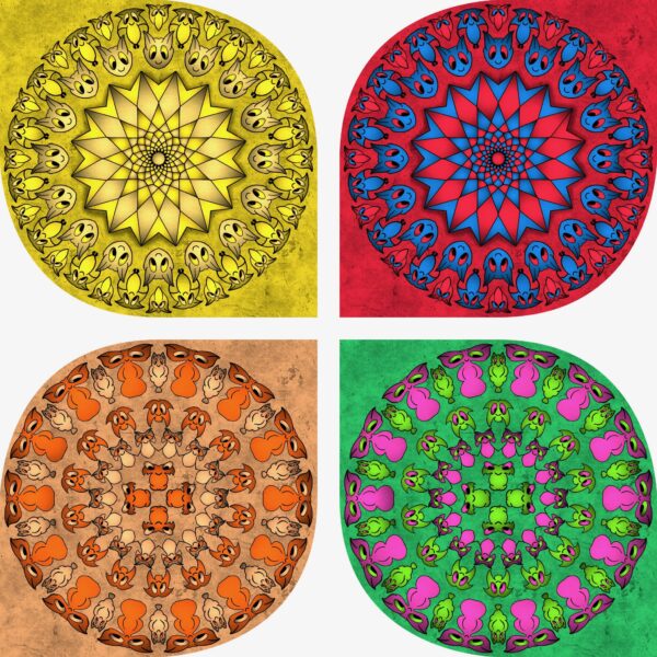 created by InCollage