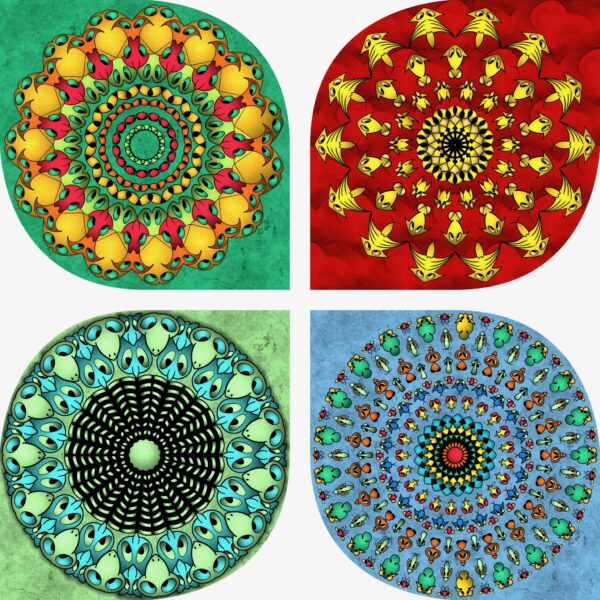 created by InCollage