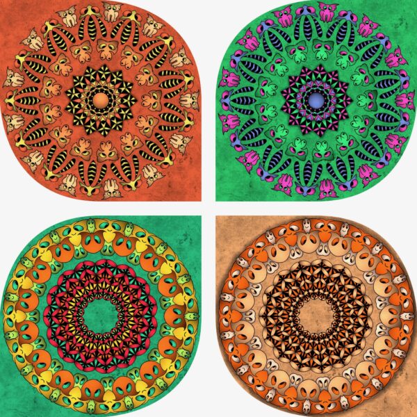 created by InCollage