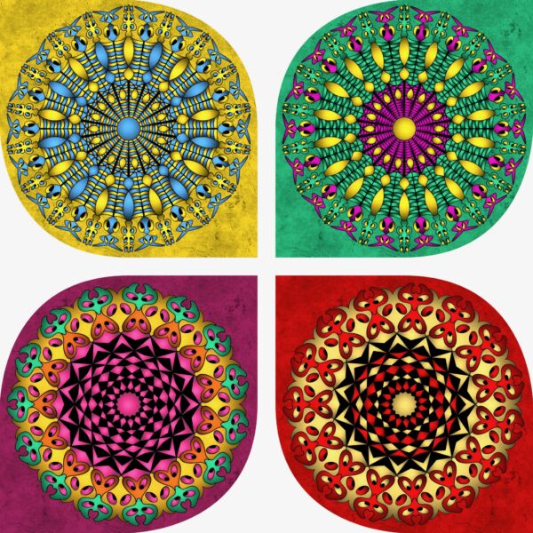 created by InCollage