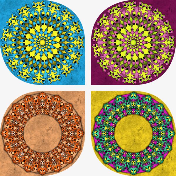 created by InCollage