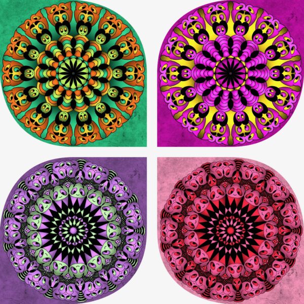 created by InCollage