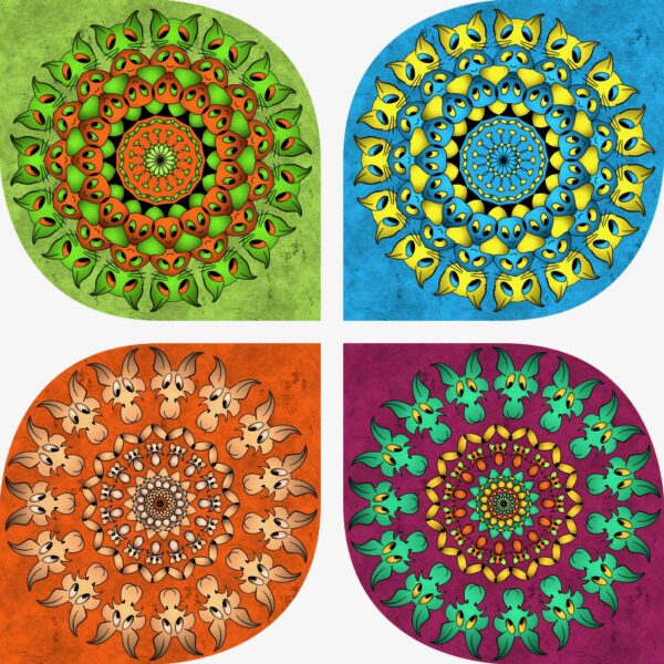 created by InCollage