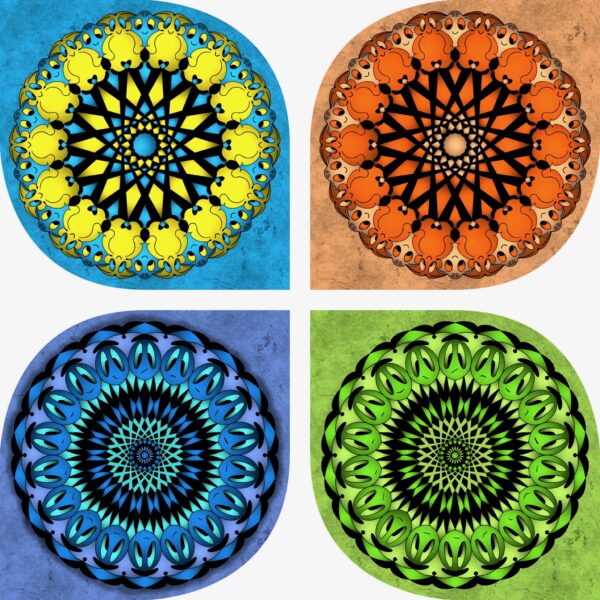 created by InCollage