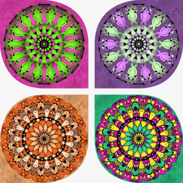 created by InCollage